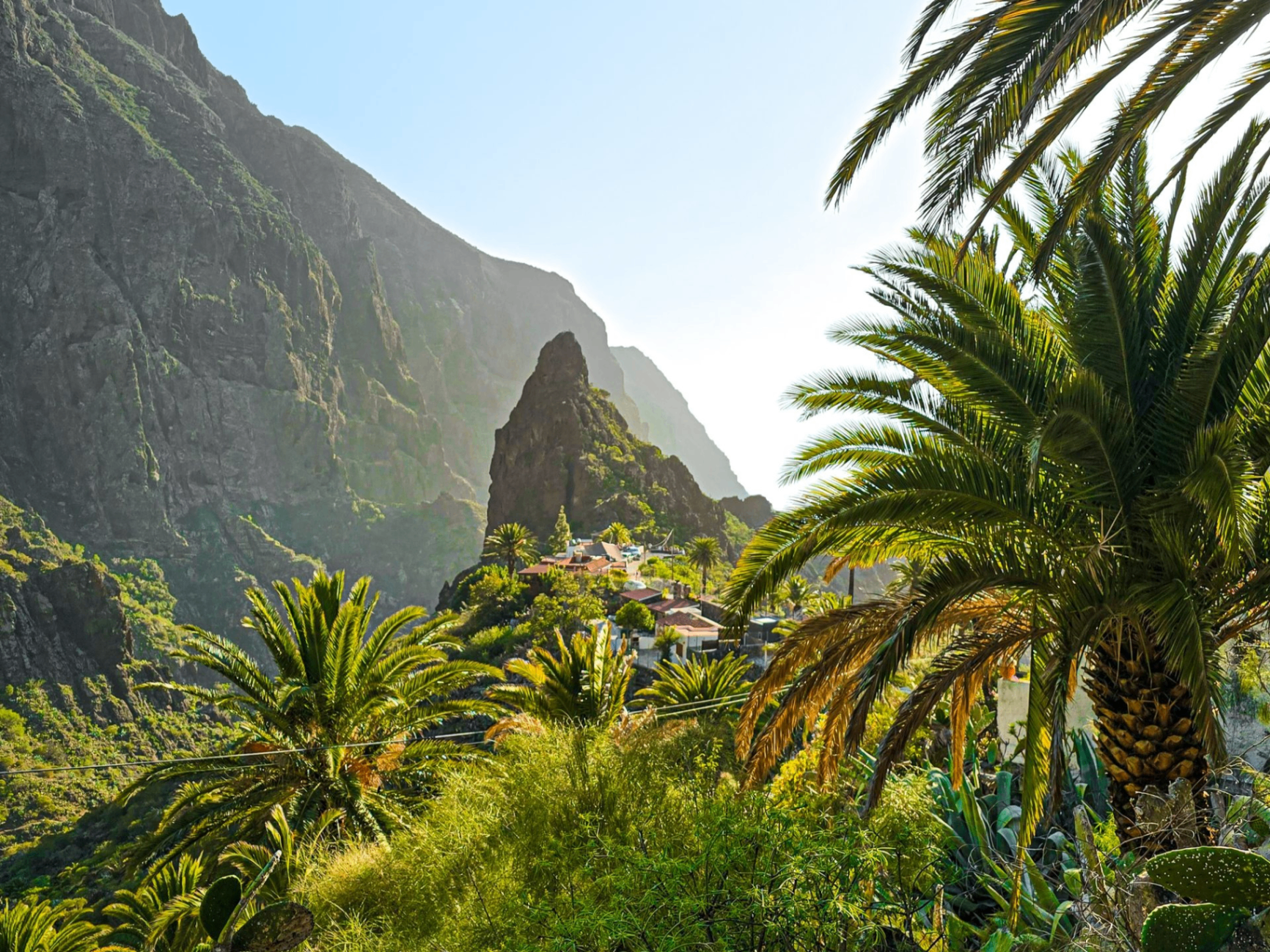 Selo Masca u kanjonu — Tenerife